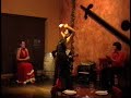 Leandra La Greca - Flamenco Dancer