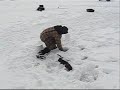 Ice Fishing - Pike Football