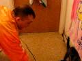 videos de Blowdrying the kitty