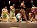 Sumo 2