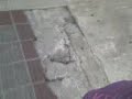 Que Locuraaa =D