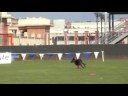 Frenzy at Skyhoundz Worlds 08! Frenzy at Skyhoundz Worlds 08!