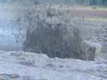 HOW MELENIE GOT MUDDY