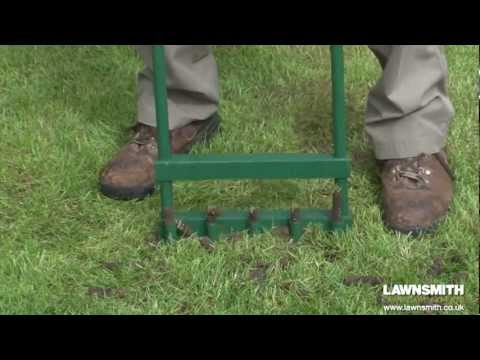 how to properly aerate your lawn
