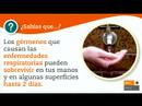 Los g�rmenes sobreviven