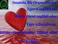 Sami Yusuf  ilahi  RaMaZaN �zel slayt