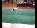 Double Chain Whip: Wuhan University Competition Double Chain Whip: Wuhan University Competition