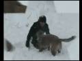 videos de Chiara et sa 1ere neige