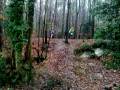 videos de Willow Woods bombhole.mp4