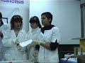 Gusano de espuma Gusano de espuma
