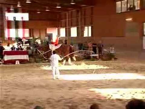 staatsmeisterschaft wr. reitclub ...