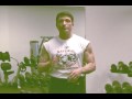 Bodybuilding - Muscle Maximization