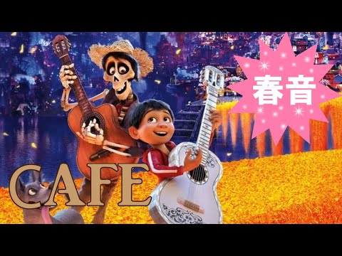 動画