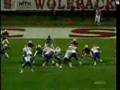 Reggie Bush/James Davis Highlights 