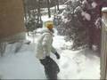 Backyard Park HD