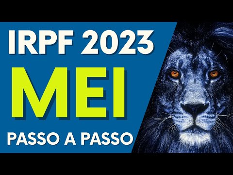 IRPF 2023 | Guia completo: Imposto de Renda para MEI em 2023 | LCONT