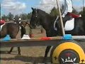 Musical Ride