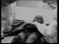 autopsia de un extraterrestre en area 51