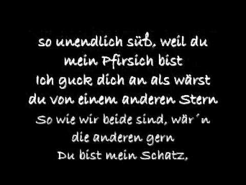 bushido schmetterling songtext}
