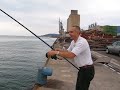 pesca all\