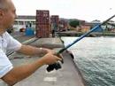 pesca all'orata
