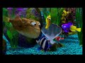 Buscando a Nemo (Finding Nemo)