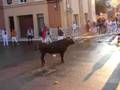 EL TORO ENSOGAO DE CALAMOCHA 2.008