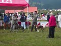 Raza Boxer Sabado 28 Junio 2008 Ajusco Juez: Pat Cruz