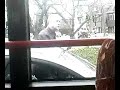 Asociale Buschauffeur
