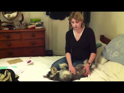 how to practice osce