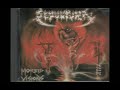 NEW RENAISSANCE RECORDS discovered Brazil's SEPULTURA in 1986/87 and released their debut album in 1988.  This track is from the original pressing (which is VERY rare and out of print).