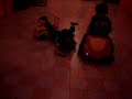 la caida de sebas la caida de sebas