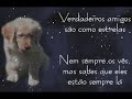 A amizade - Fundo de Quintal