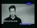 Westlife Seasons in the sun
