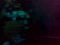 DISCO EDEN 2