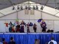 MAC class fan veil performance