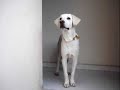 .::: BHENDER :::. LIVING IN SOATA