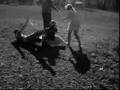 Hippie Horror Picture Show