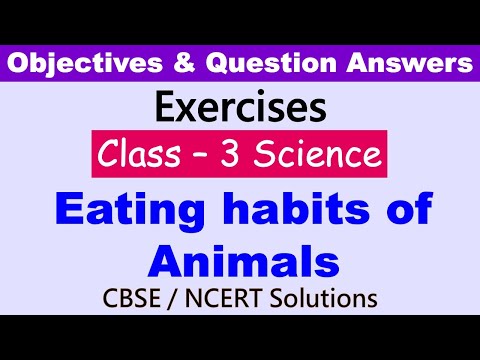 Eating Habits Of Animals | Class : 3 | Science | Exercises and Question Answers| CBSE / NCERT | – Orchids eLearning Eating Habits Of Animals | Class : 3 | Science | Exercises and Question Answers| CBSE / NCERT | – Orchids eLearning