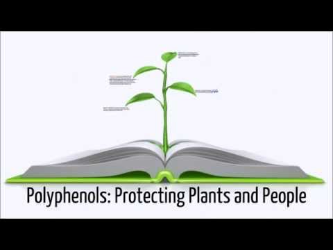 how to boost nitric oxide