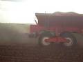 agro forte