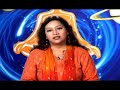 Chinese Zodiac Sign Meanings : The Dog Chinese Zodiac Sign Meaning