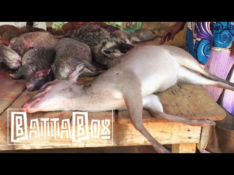 SHOCKING: What You Find In Nigeria's Bush Meat Market