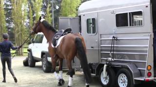 Rowville Horse Trailers