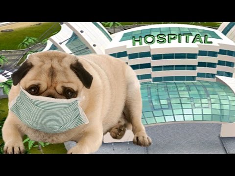 how to cure sickness