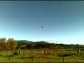 Grande Aviao.mpg