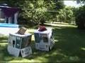 videos de transformers2 revenge of the two robots skaterj80