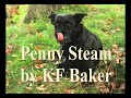 Severn Valley Railway Autumn Gala 2008 part 2
