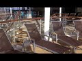 Solarium Oasis of the Seas