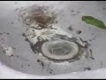 Water down a drain at the equator